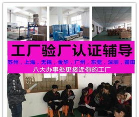 企業(yè)可持續(xù)發(fā)展認(rèn)證與驗(yàn)廠輔導(dǎo)服務(wù)綜述