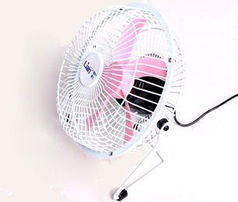 夏日清涼伙伴 聯創USB迷你風扇DF EF06010（白色款）